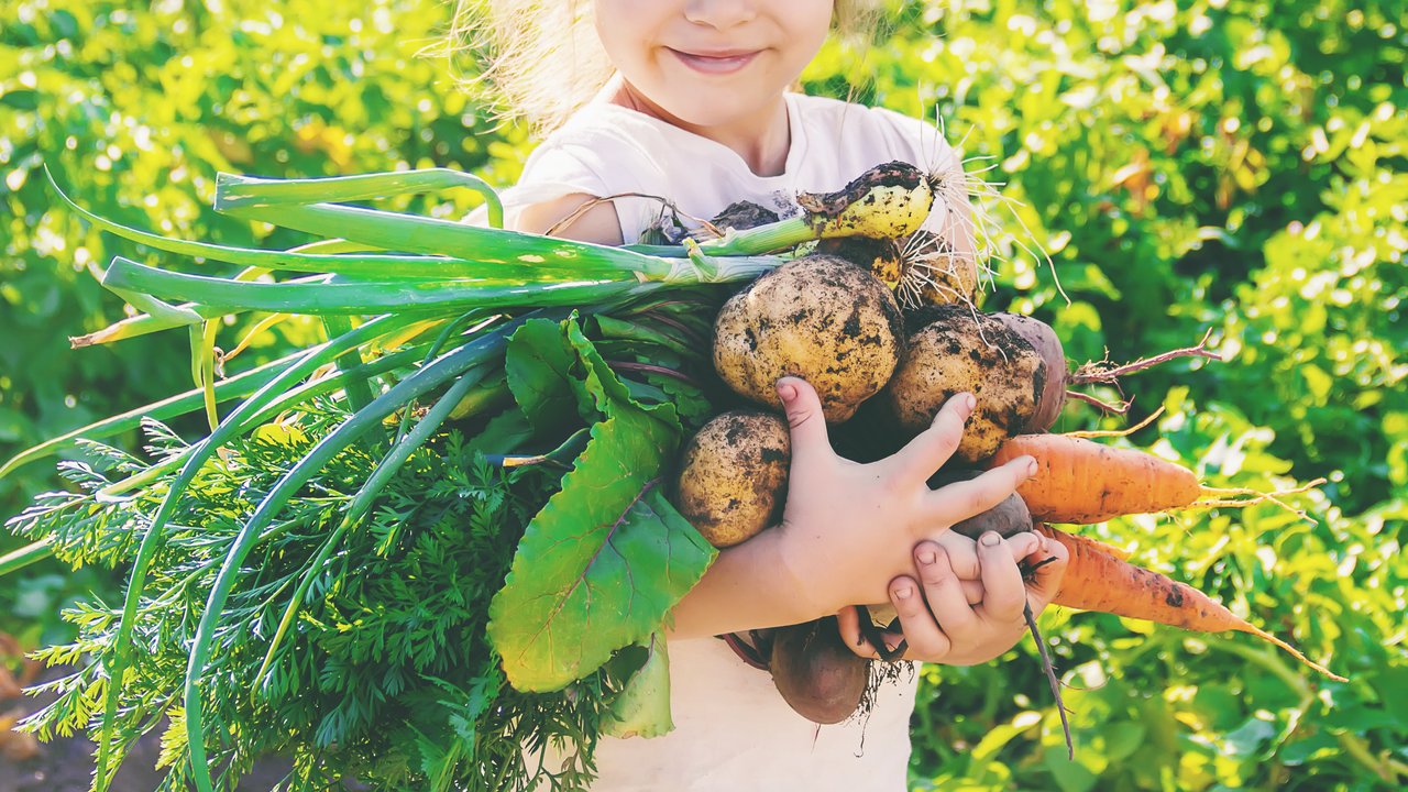 Kinder vegan ernähren: Mädchen hält glücklich frisch geerntetes Gemüse im Arm