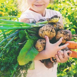 Kinder vegan ernähren: Pro und Contra der pflanzlichen Ernährung für die Kleinsten