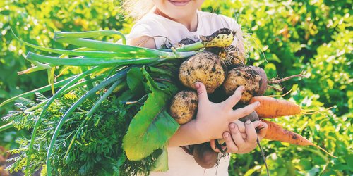 Kinder vegan ernähren: Pro und Contra der pflanzlichen Ernährung für die Kleinsten