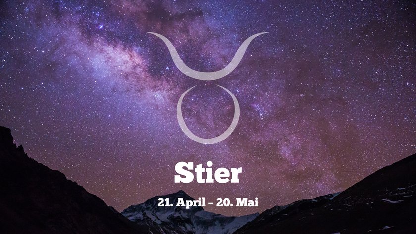 Stier