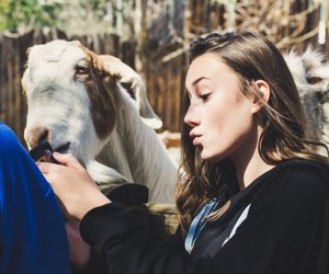 Ziege als Haustier: Ist die Haltung sinnvoll?