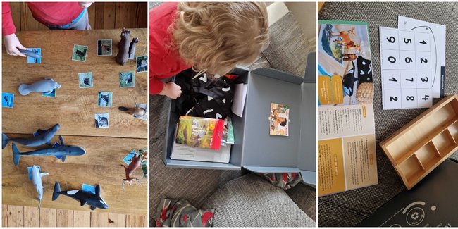 Tribu Spielzeugbox-Abo: Collage von drei Fotos, die ein kleines blondes Kind beim Spielen mit Schleicht-Tieren aus der Spielebox von Tribu zeigen