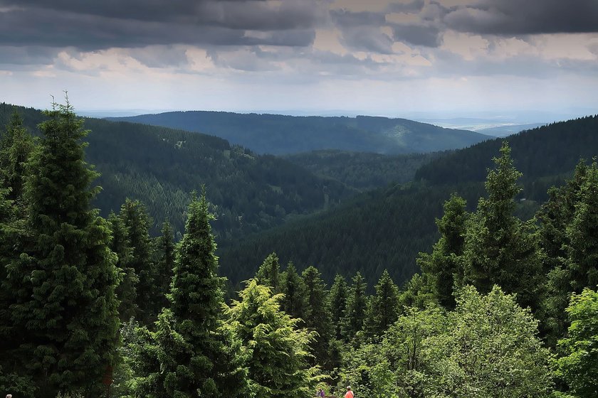Im Thüringer Wald ist der Rennsteig ein beliebtes Wanderparadies.