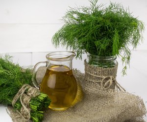 Ist&#x20;Dill&#x20;w&#x00E4;hrend&#x20;der&#x20;Schwangerschaft&#x20;erlaubt&#x3F;&#x20;Das&#x20;musst&#x20;du&#x20;wissen&#x21;