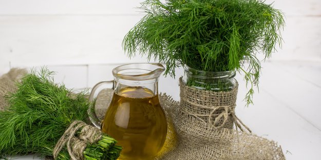 Ist Dill während der Schwangerschaft erlaubt? Das musst du wissen!