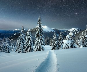 Tageshoroskop für den 30. Dezember 2024: Dieses Sternzeichen sollte sich heute etwas zurückhalten