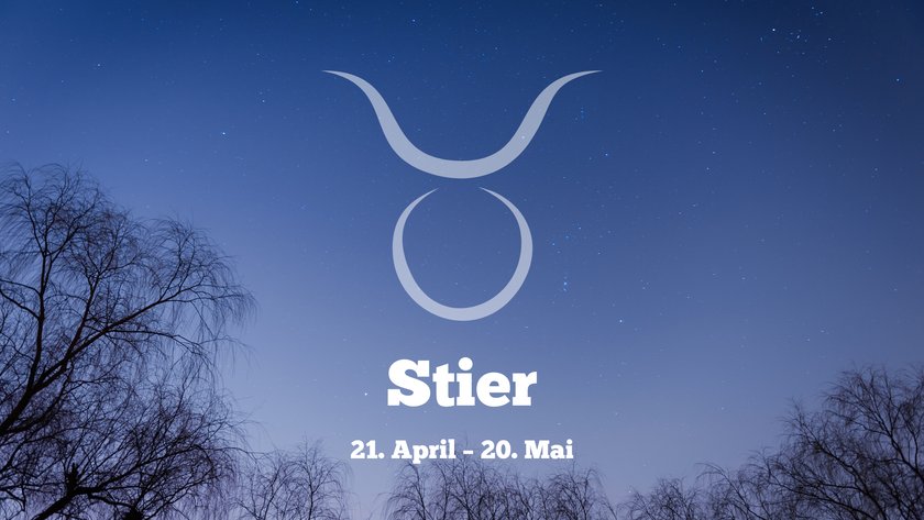 Stier