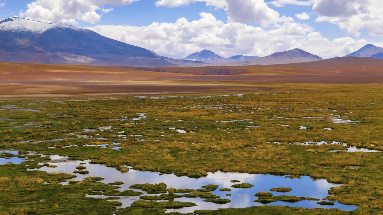 Atacama&#x20;W&#x00FC;ste&#x20;in&#x20;Chile&#x20;mit&#x20;Bergen&#x20;im&#x20;Hintergrund
