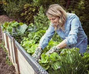 7 praktische Amazon-Hochbeete für leckeres Gartengemüse und Kräuter