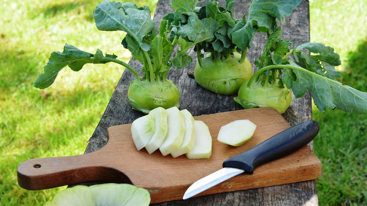 Diese Kohlrabischnitten haben die richtige Dicke.