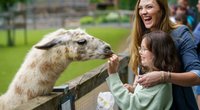 Großer Vergleich: Die 10 besten deutschen Zoos und Tierparks im Ranking