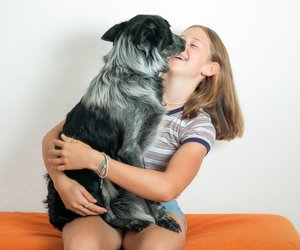 Dürfen Hunde Spargel essen? Darauf solltest du achten