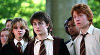 Echte Harry-Potter-Fans werden dieses Puzzle lieben
