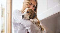 Dürfen Hunde Pfirsich essen? Alles, was du wissen musst