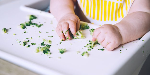 Baby-led Weaning: BLW ist Fingerfood statt Babybrei!