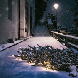 Weihnachtsbaum entsorgen: 7 Tipps, wie ihr die Tanne loswerden könnt