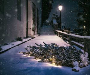 Weihnachtsbaum entsorgen: 7 Tipps, wie ihr die Tanne loswerden könnt