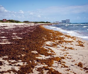 Urlaub: Diese Strände in Spanien sind jetzt tabu