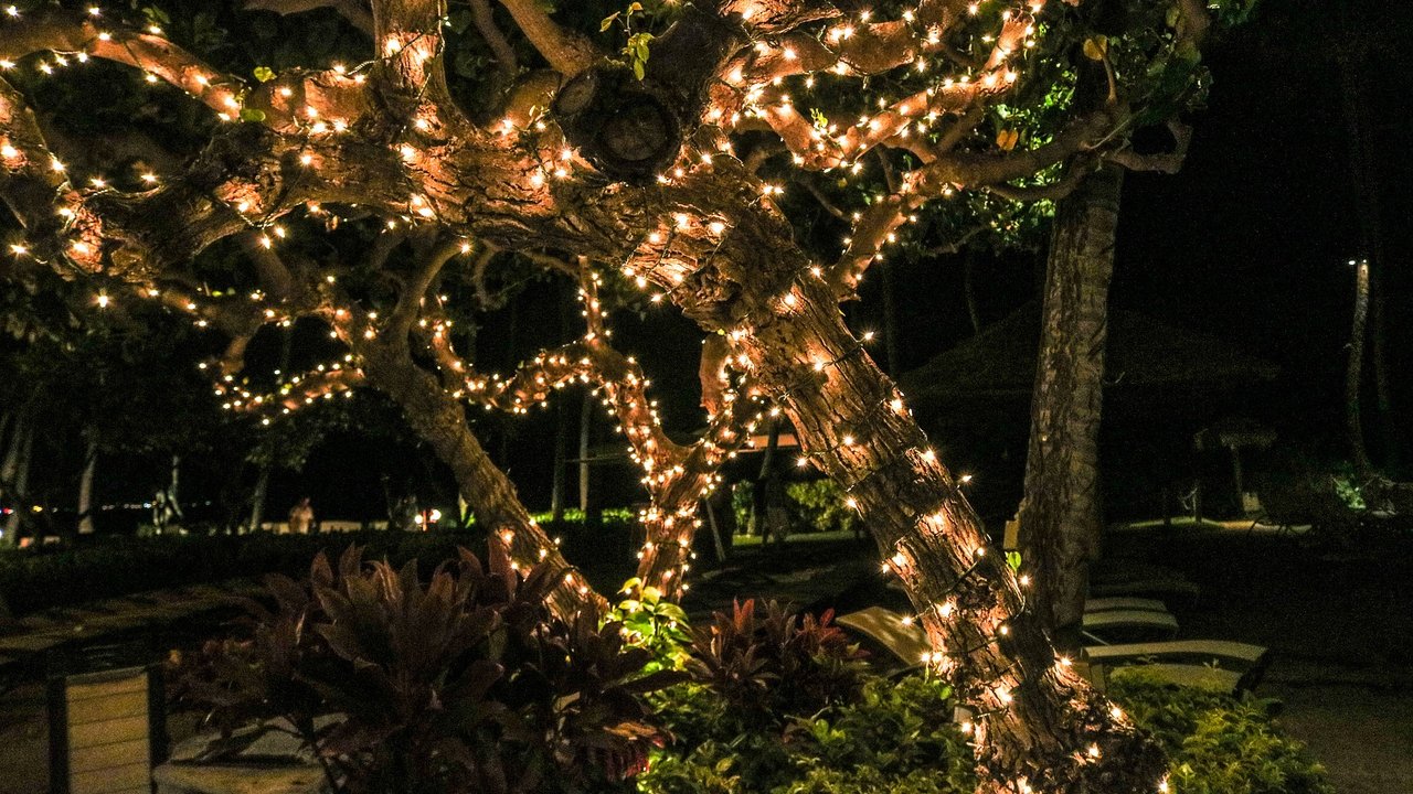 Zur Weihnachtszeit darf es auch im Garten leuchten. 