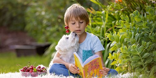 Spannende Bücher für euer Kinder: Die beliebtesten Kinderbücher des Monats