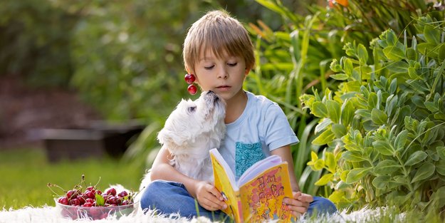 "Mein Lotta-Leben" auf der 1! - Die beliebtesten Kinderbücher der Woche