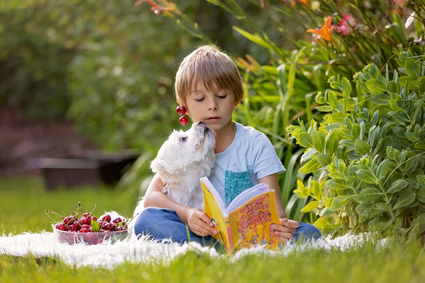 Spiegel Bestseller Kinderbücher