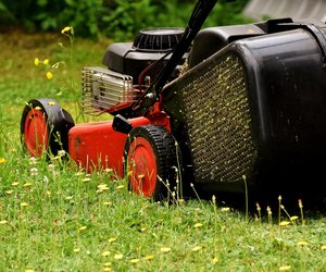 Für Laub, Heckenschnitt und Co.: Garten-Fans lieben dieses Gadget von Amazon