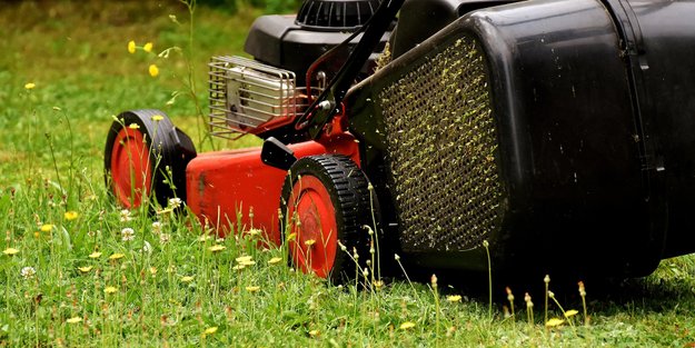 Garten-Fans aufgepasst: Dieses Amazon-Gadget ist perfekt für Laub, Heckenschnitt und vieles mehr