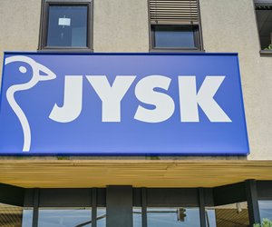 Wer sich den Frühling herbeisehnt, braucht diese zauberhafte Kunstblume von Jysk