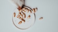 Dürfen Hunde Nüsse essen? Vorsicht bei diesen Sorten