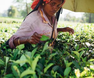 Fairtrade: Was steht eigentlich hinter diesem Begriff?