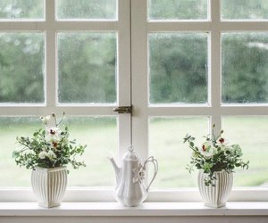 Hitze-Hack: Deshalb lieben alle bei 35 Grad den „Sommer-Modus“ am Fenster