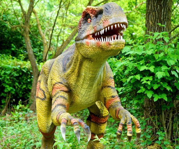 Beeindruckend Dieser Dinosaurier hatte mehr als 500 Zähne