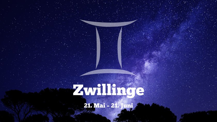 Zwillinge