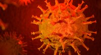 Charité-Studie: Patienten nach Erkältung immun gegen Corona?