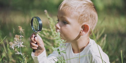 Diese 11 giftigen Pflanzen können euren Kindern schaden