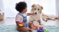 Baby und Hund? Mit diesen Tipps klappt das Zusammenleben von Hund und Kind