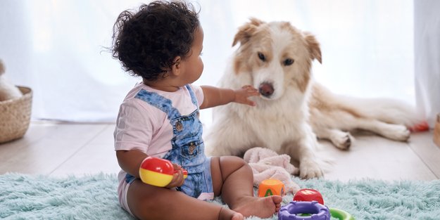 Baby und Hund? Mit diesen Tipps klappt das Zusammenleben von Hund und Kind