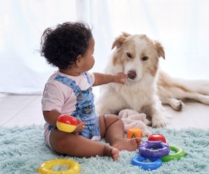 Baby und Hund? Mit diesen Tipps klappt das Zusammenleben von Hund und Kind
