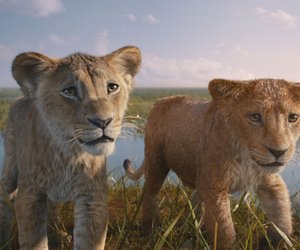 Hakuna Mufasa: Für wen sich der Kinofilm "Mufasa: König der Löwen" lohnt