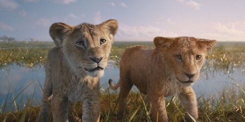 Gewinnt Tickets für; "Mufasa: König der Löwen" 