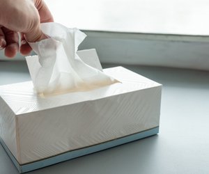 In welchen Müll kommen Taschentücher? Nur eine Tonne ist richtig