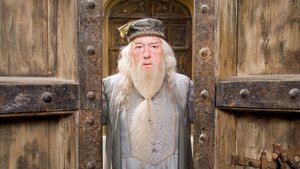 Hogwarts-Quiz: Was weißt du über die Schule für Hexerei und Zauberei?