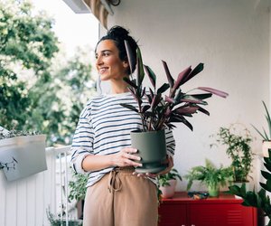 Das sind die 9 schönsten Outdoor-Blumentöpfe, die ihr bei Amazon bestellen könnt