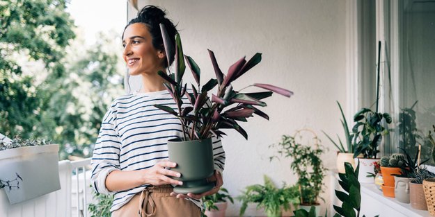 Das sind die 9 schönsten Outdoor-Blumentöpfe, die ihr bei Amazon bestellen könnt