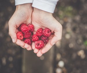 Himbeeren in der Schwangerschaft: Was sollte ich beachten?