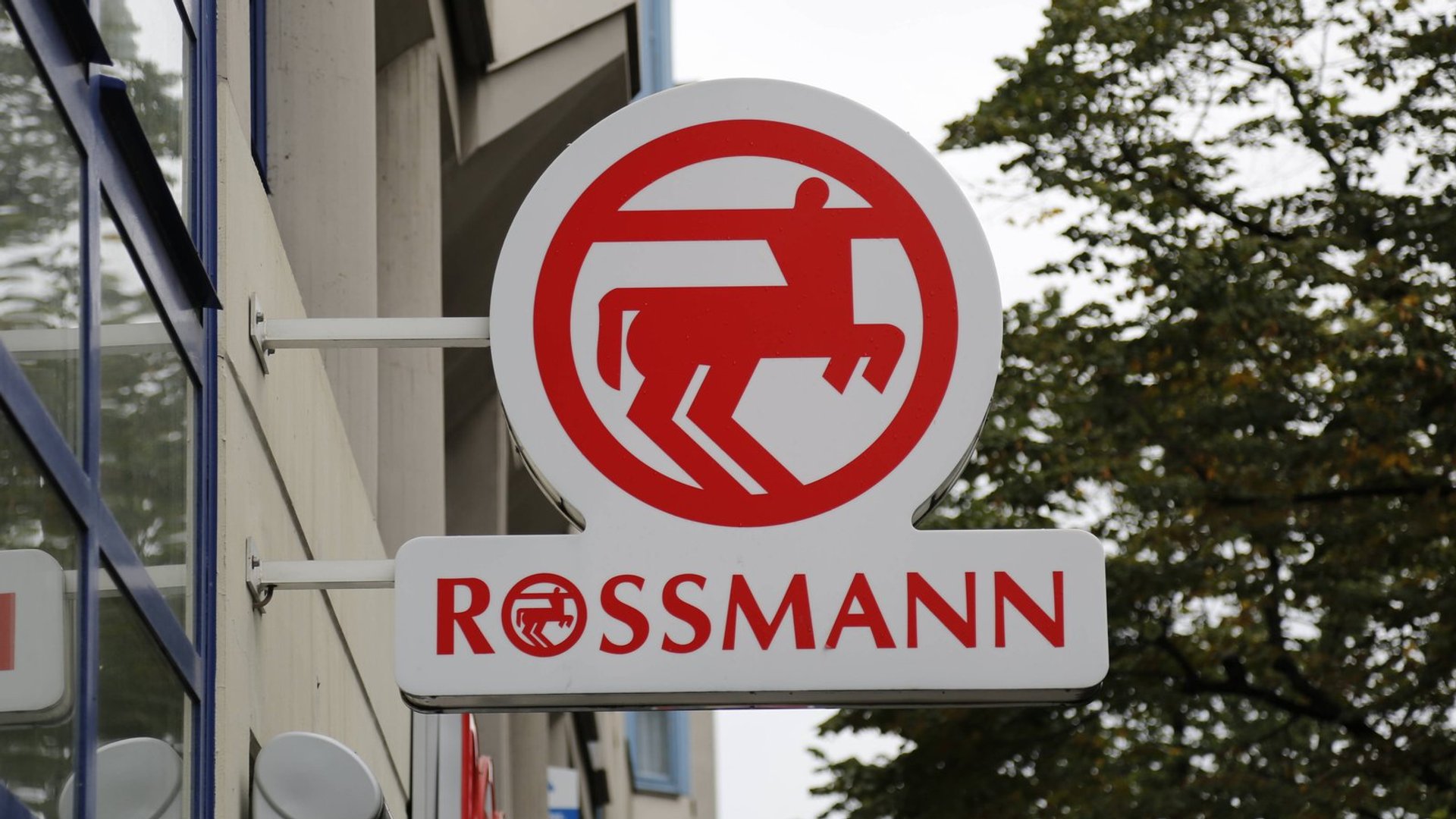 Schnell bei Rossmann zugreifen: Dieses kleine Küchenradio ist der Knaller