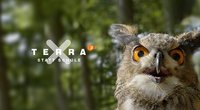 Schulen geschlossen: ZDF startet "Terra X statt Schule"