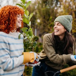 7 überraschend einfache Garten-Tricks für den März (und was ihr besser sein lasst!)