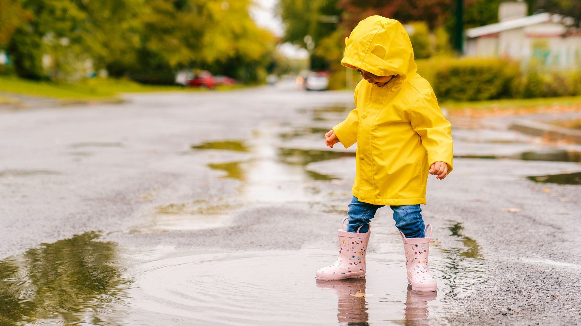 Bluey Kinderregenschirm Mit Transparenter Blasenkuppel - Sicherer & Bunter Regenschirm Für Kinder